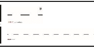 Toyota Lexus-360 AVM Kit-030